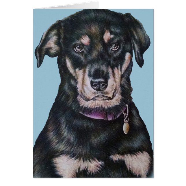 Retrato negro del dibujo del perro de Rottweiler (Frente)