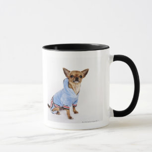 Retrato peculiar de una chihuahua de la taza de t