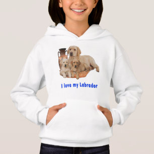 Retriever de Labrador
