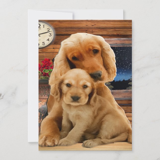 Retriever de Labrador (Anverso)