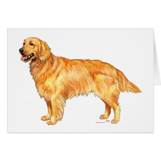 Retriever Dorado (Anverso (Horizontal))