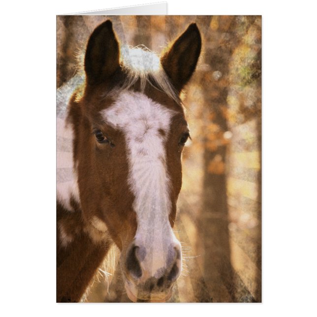 Retro Pinto (Frente)