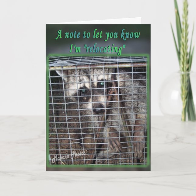 ¿Reubicar? gran cambio de tarjeta a sus palabras d (Anverso)