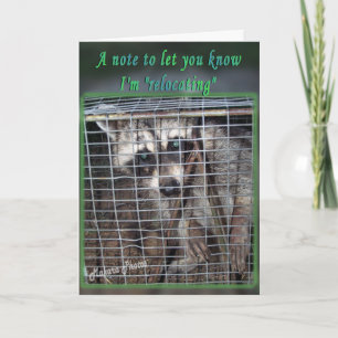 ¿Reubicar? gran cambio de tarjeta a sus palabras d