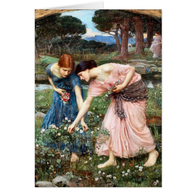 Reúna a los Rosebuds durante el invierno de May (Frente)