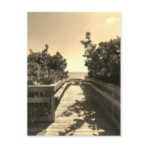 Reúnete conmigo en la postal de la playa