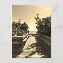 Reúnete conmigo en la postal de la playa