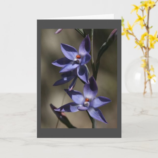 REUNIMOS MI TARJETA DE AMIGO (flor amarilla)