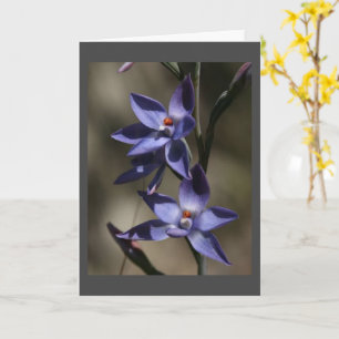 REUNIMOS MI TARJETA DE AMIGO