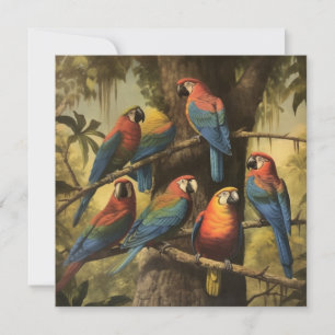 Reunión de Guacamayo Escarlata en la Selva Botánic