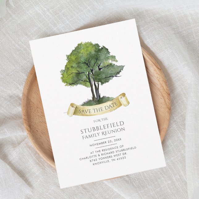 Reunión de la familia de árboles genealógicos mode (Family Tree Genealogy Cousins Gathering Invitation)