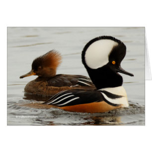 Reunión de mercaderes encapuchados