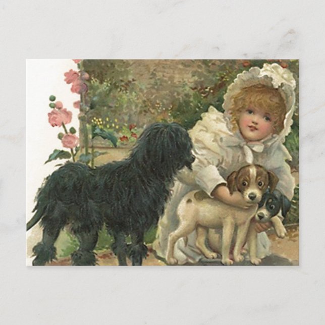 Reunión de rescate de promoción de postales y adop (Anverso)