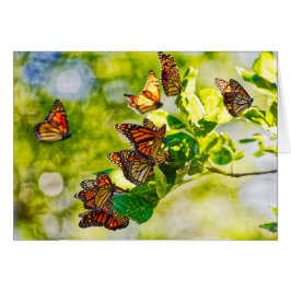 Reunión del monarca