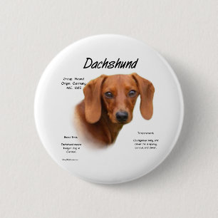 Reunión lisa del Dachshund la raza - botón