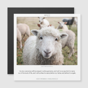 Revelación 3:5 DIOS PROMETE tarjeta magnética SCRI