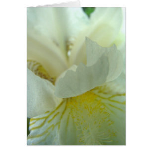 revendedor del del juste