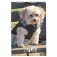 Revista el calendario de Havapookie con cobre