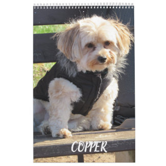 Revista el calendario de Havapookie con cobre
