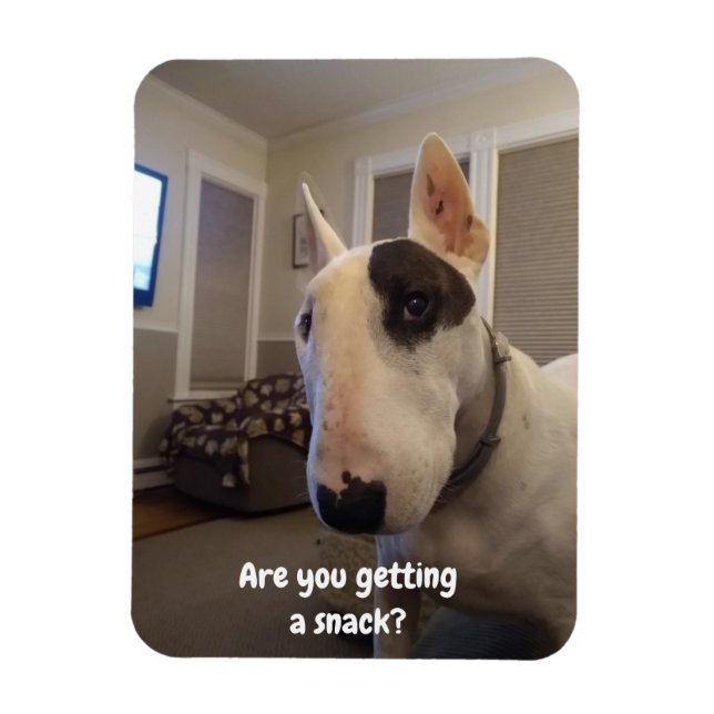 Rex El Imán Del Refrigerador Del Terrier De La TV (Vertical)