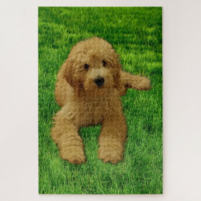 Rex El Rompecabezas De Goldendoodle (Vertical)