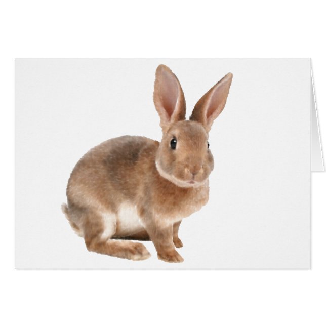 Rex Rabbit (Anverso (Horizontal))