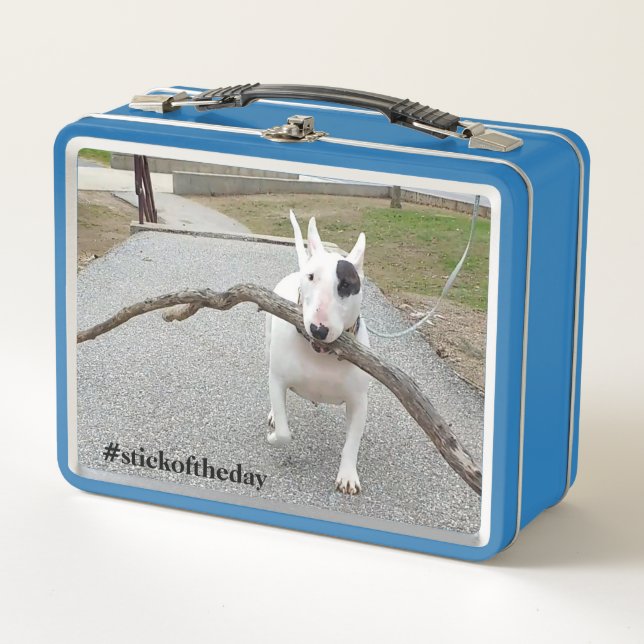 Rex The TV Terrier.Stick Of The Day Lunchbox (Anverso)