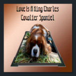 Rey Charles Cavalier Spaniel, Poster de arte pop o<br><div class="desc">En un diseño artístico de popout aparece el rey Charles Cavalier Spaniel,  con las palabras amor como español de Cavalier</div>