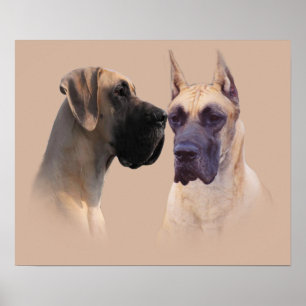 Rey de great dane de la impresión de los perros