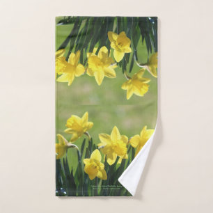 Rey de oro Alfred Daffodils, primavera
