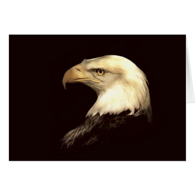 rey del aviador (Anverso (Horizontal))