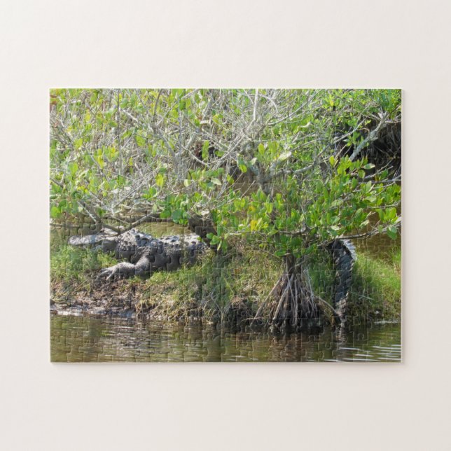 Rey del pantano - Rompecabezas del lagarto (Horizontal)