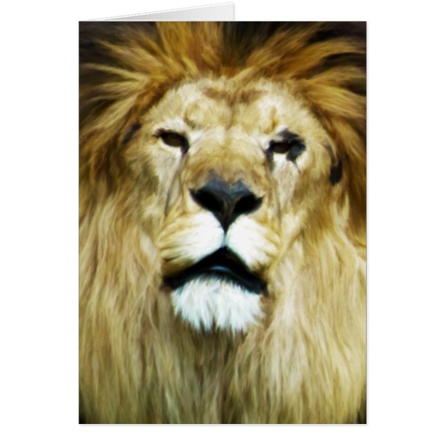 Rey imperfecto (Frente)