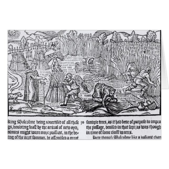 Rey Malcolm de Escocia (Anverso (Horizontal))