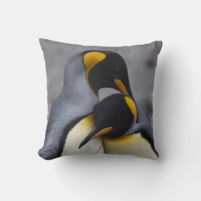 Rey pingüinos en almohada del amor (Anverso)