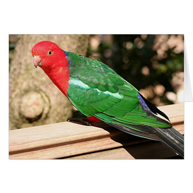 Reyes australianos (rojo y verde) (Anverso (Horizontal))