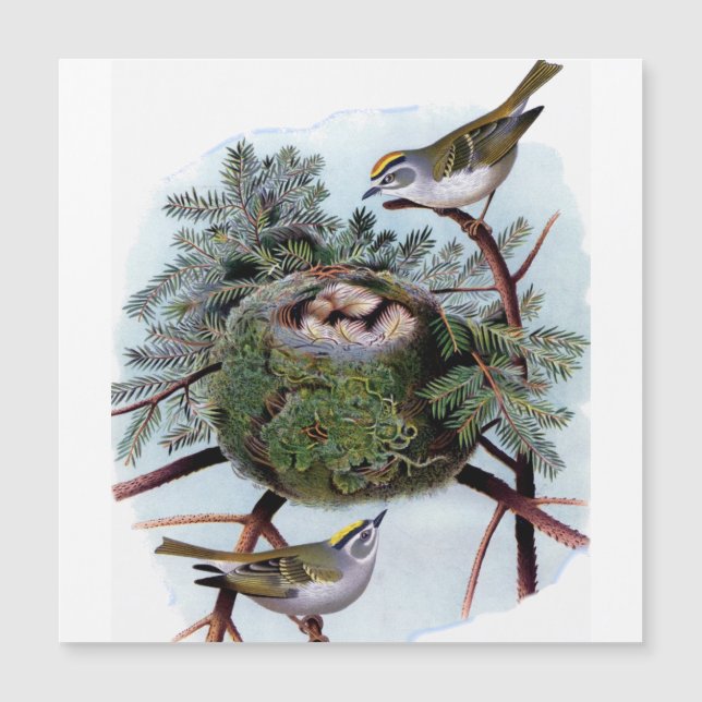 reyes dorados coronados (Anverso)