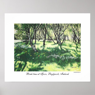 Reykjavik Arte paisajístico de Islandia por Pola.B