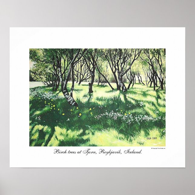 Reykjavik Arte paisajístico de Islandia por Pola.B (Frente)