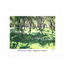 Reykjavik Arte paisajístico de Islandia por Pola.B