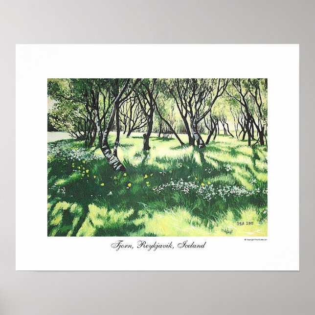 Reykjavik Arte paisajístico de Islandia por Pola.B (Frente)