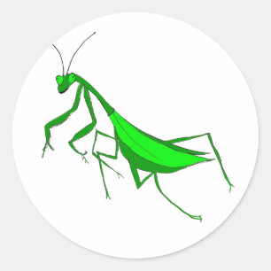 Rezando a los Pegatinas de la Ronda de Mantis