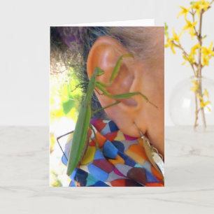 Rezando Mantis comparte un secreto - tarjeta