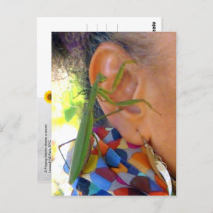 Rezando Mantis comparte un secreto - V postal