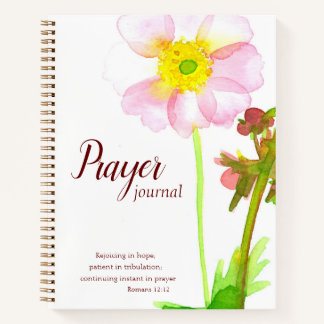 Rezo Diario Biblia Verse Romans 12:12 Flores