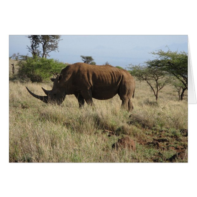 Rhino (Anverso (Horizontal))