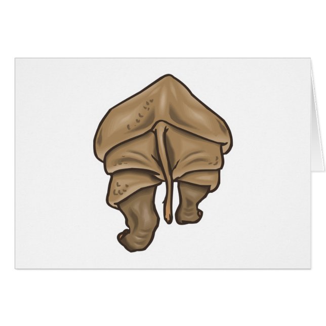 rhino butt (Anverso (Horizontal))