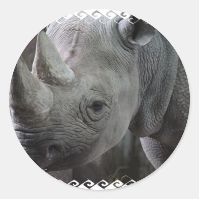 Rhino Facts Pegatinas (Anverso)
