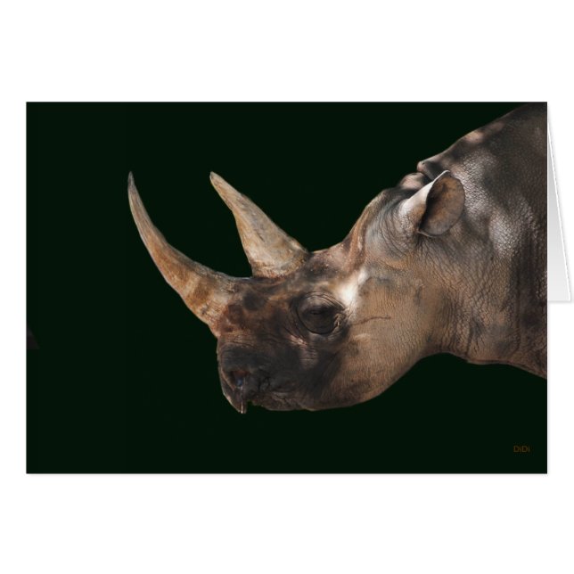 Rhinoceros (Anverso (Horizontal))