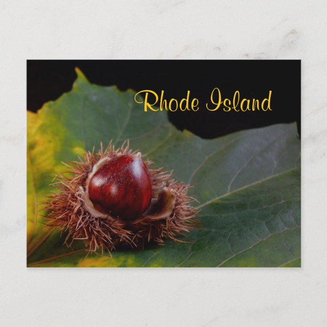 Rhode Island, Postal de hoja de otoño con nuez (Anverso)
